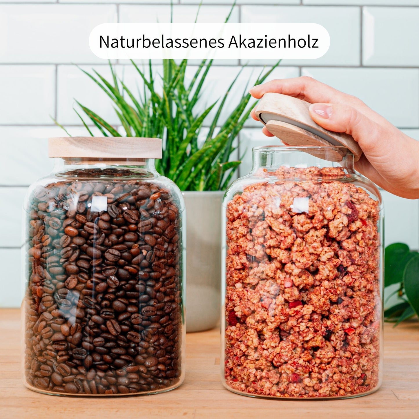 OLIV | Vorratsgläser oval gemischt (3-tlg.)