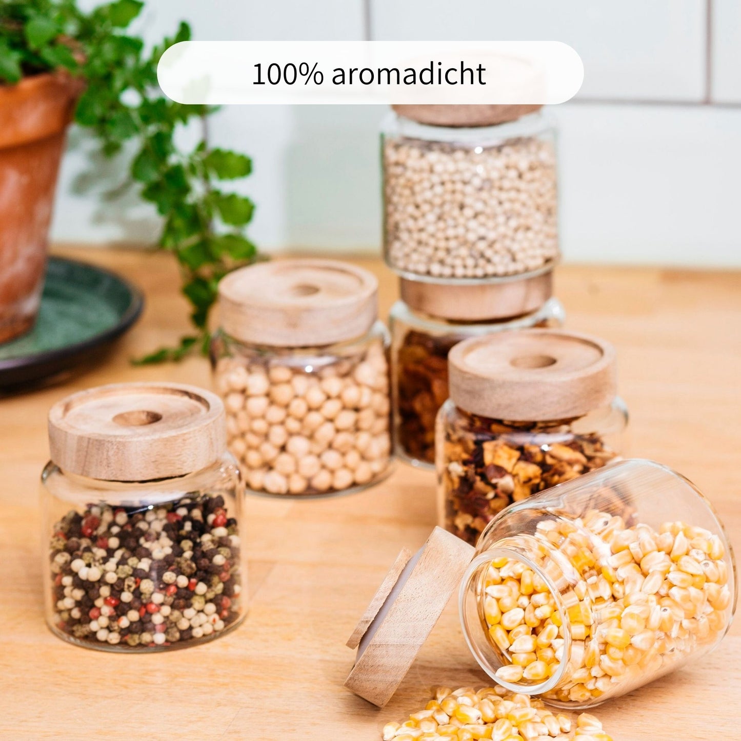 MAJA | Gewürzgläser oval 170ml  (6-tlg.)