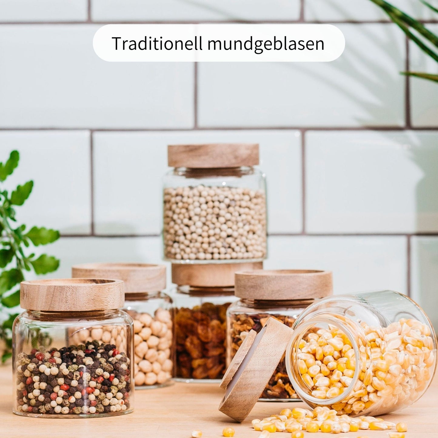 MAJA | Gewürzgläser oval 170ml  (6-tlg.)