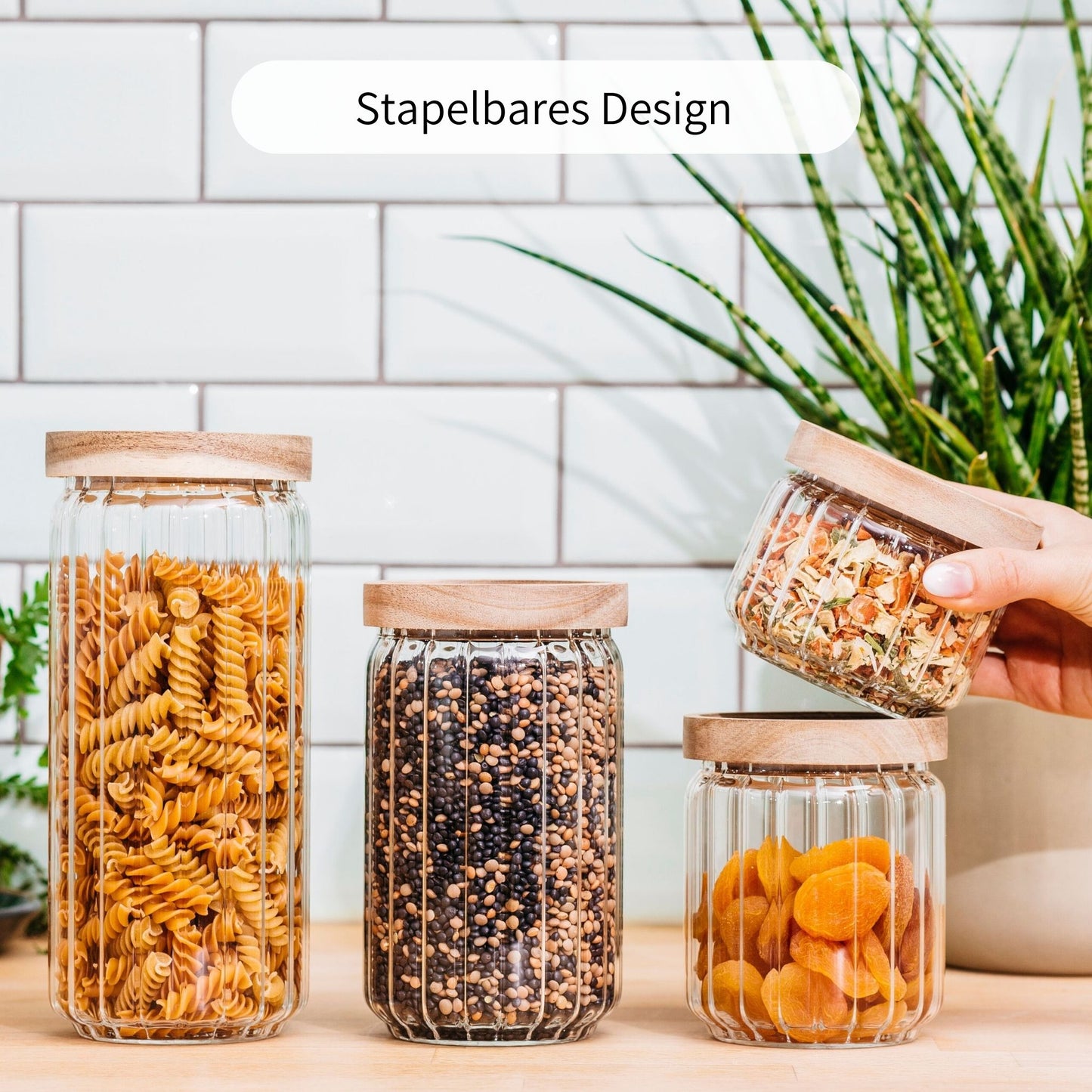 WILMA | Vorratsgläser geriffelt gemischt (4-tlg.)