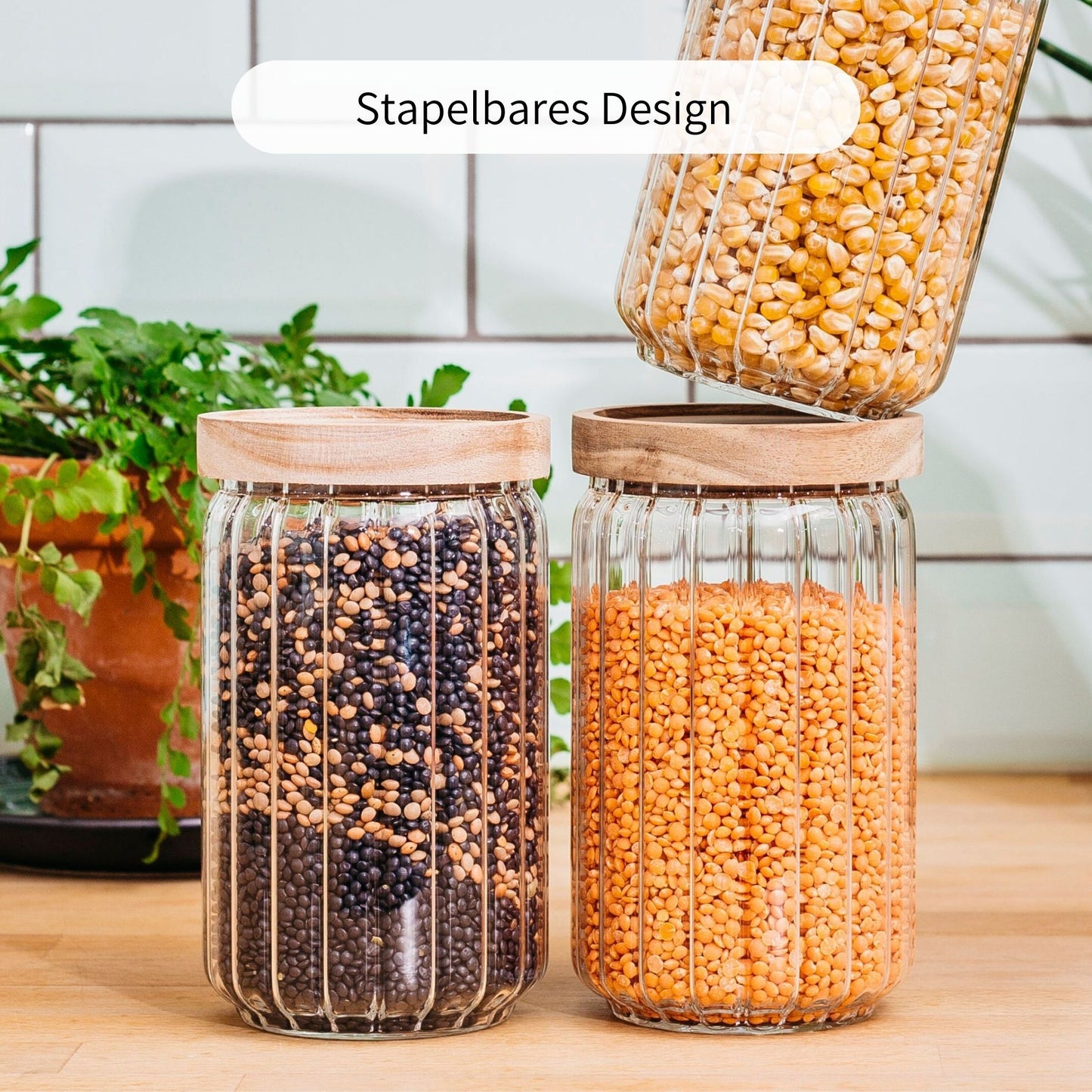 VILA | Vorratsgläser geriffelt 700ml (3-tlg.)