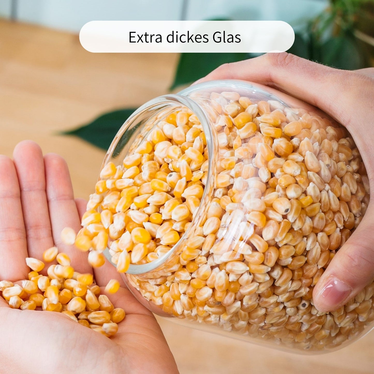 VALO | Vorratsgläser oval 900ml (2-tlg.)