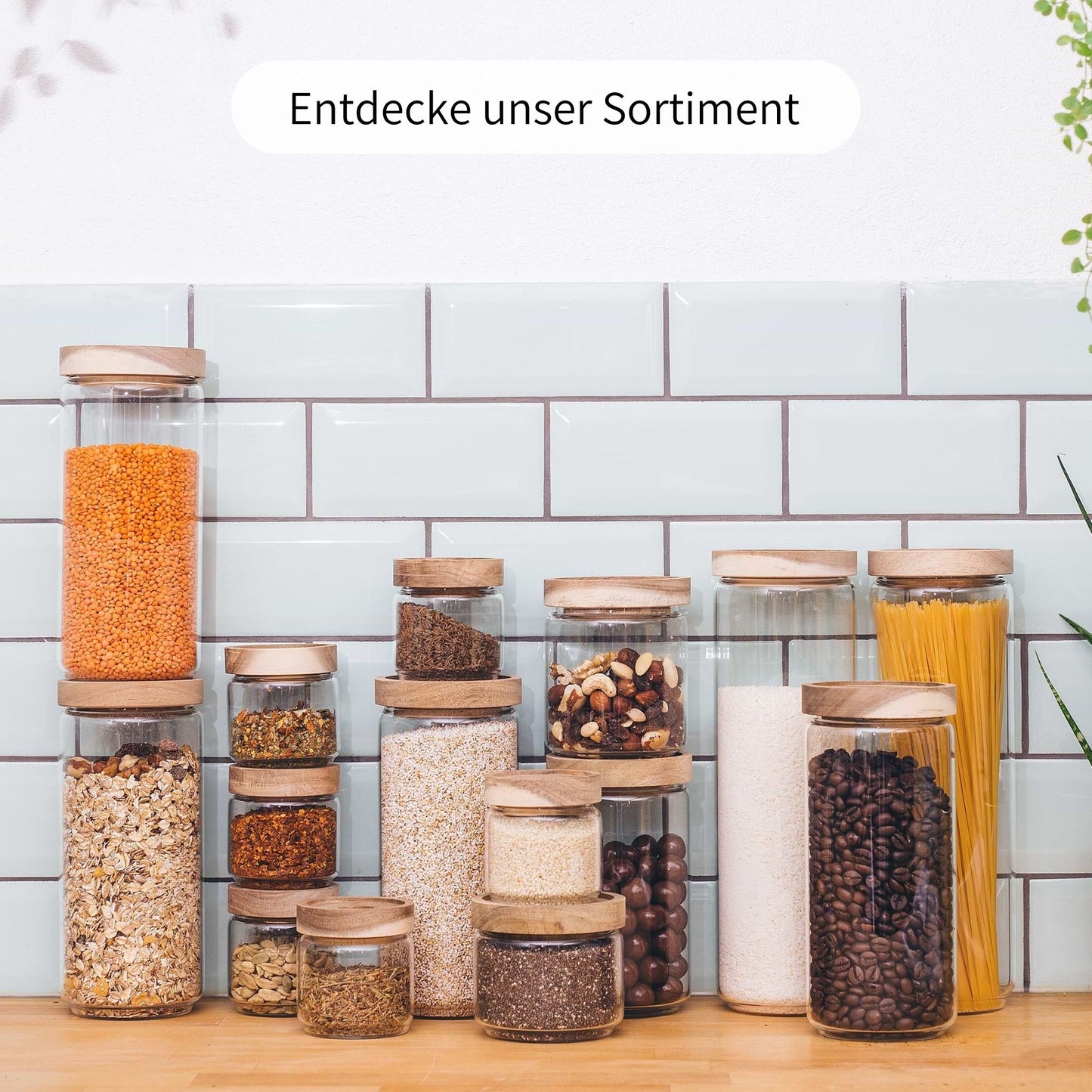 MINNA | Gewürzgläser rund 150ml (6-tlg.)